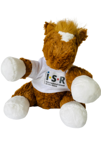 ISR Spirit